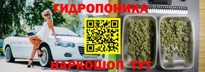 apvp Гуково