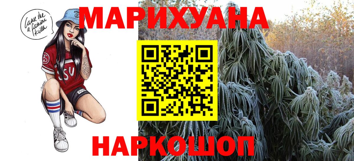 Бошки Шишки планчик Гусев